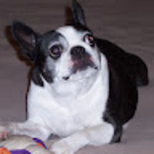 Meet your Posher, Michele